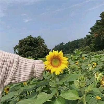 代号47狙击手游bt版下载