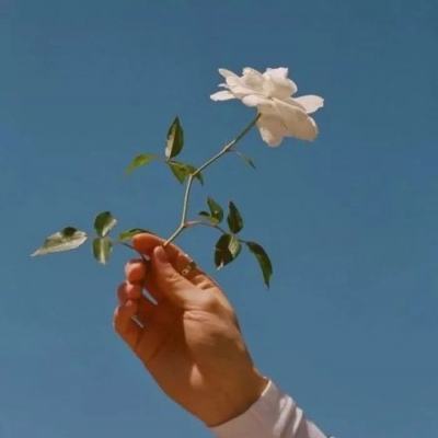 乱斗大宗师私服下载